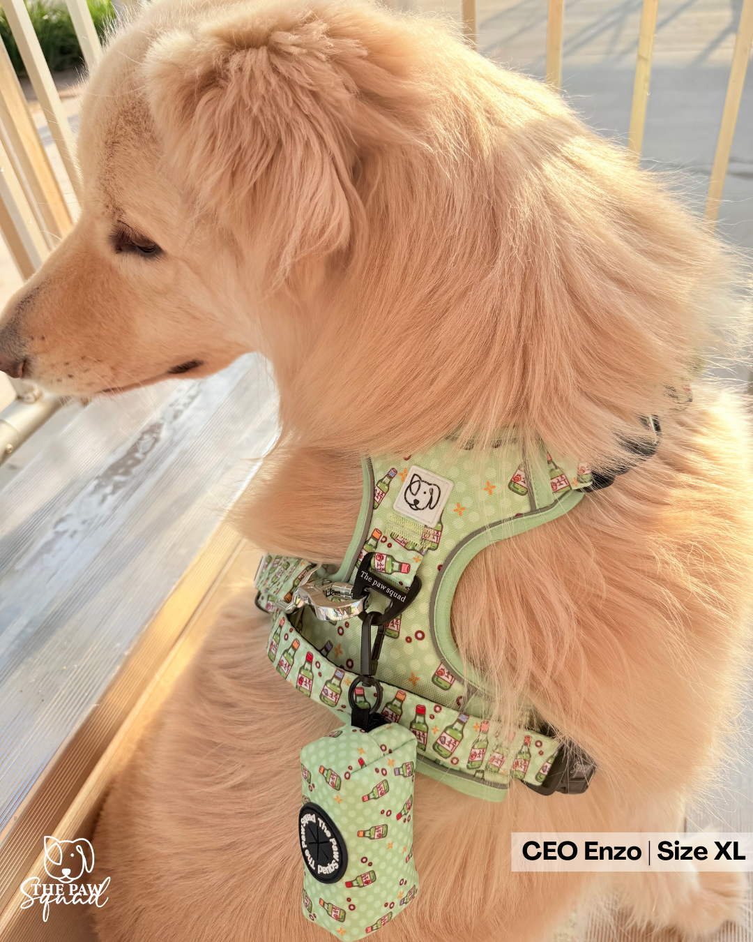 Soju Paws No-Pull Harness Bundle