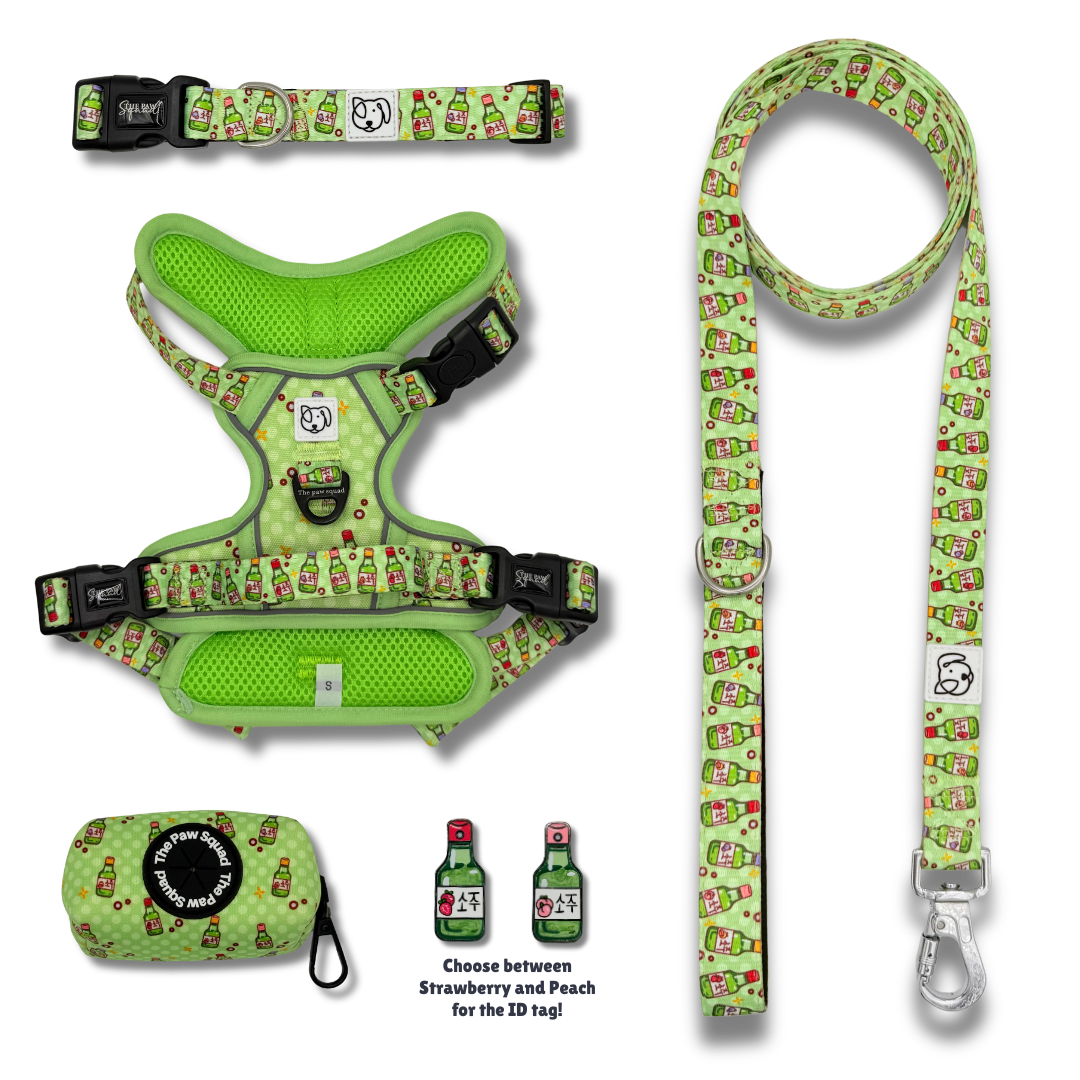 Soju Paws No-Pull Harness Bundle