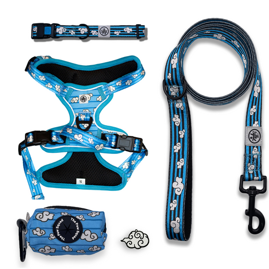 Day Dreaming Cloud No Pull Harness Bundle