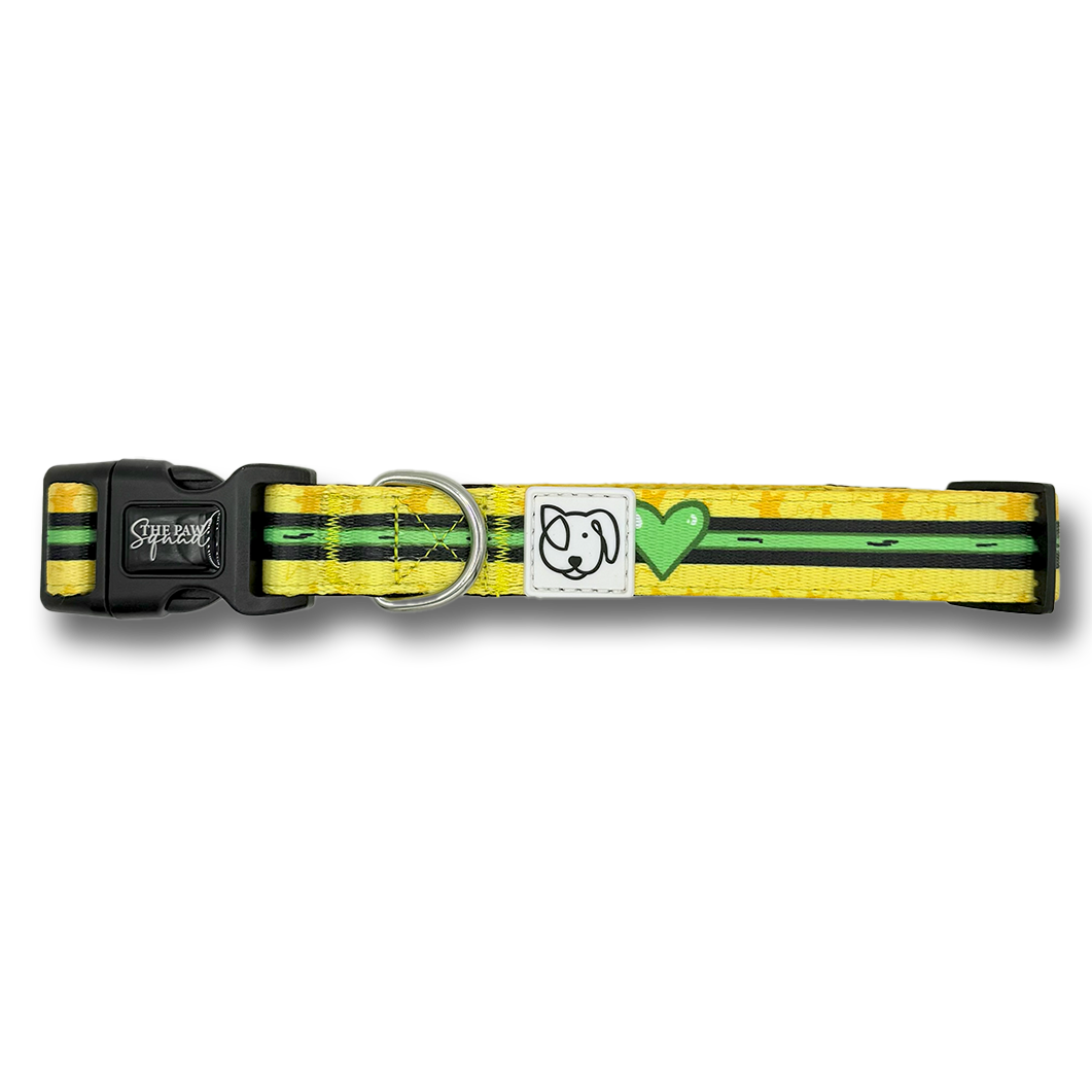 The Nemesis Dog Collar