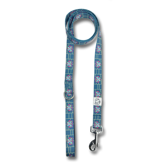 Butterfly Stardust Leash