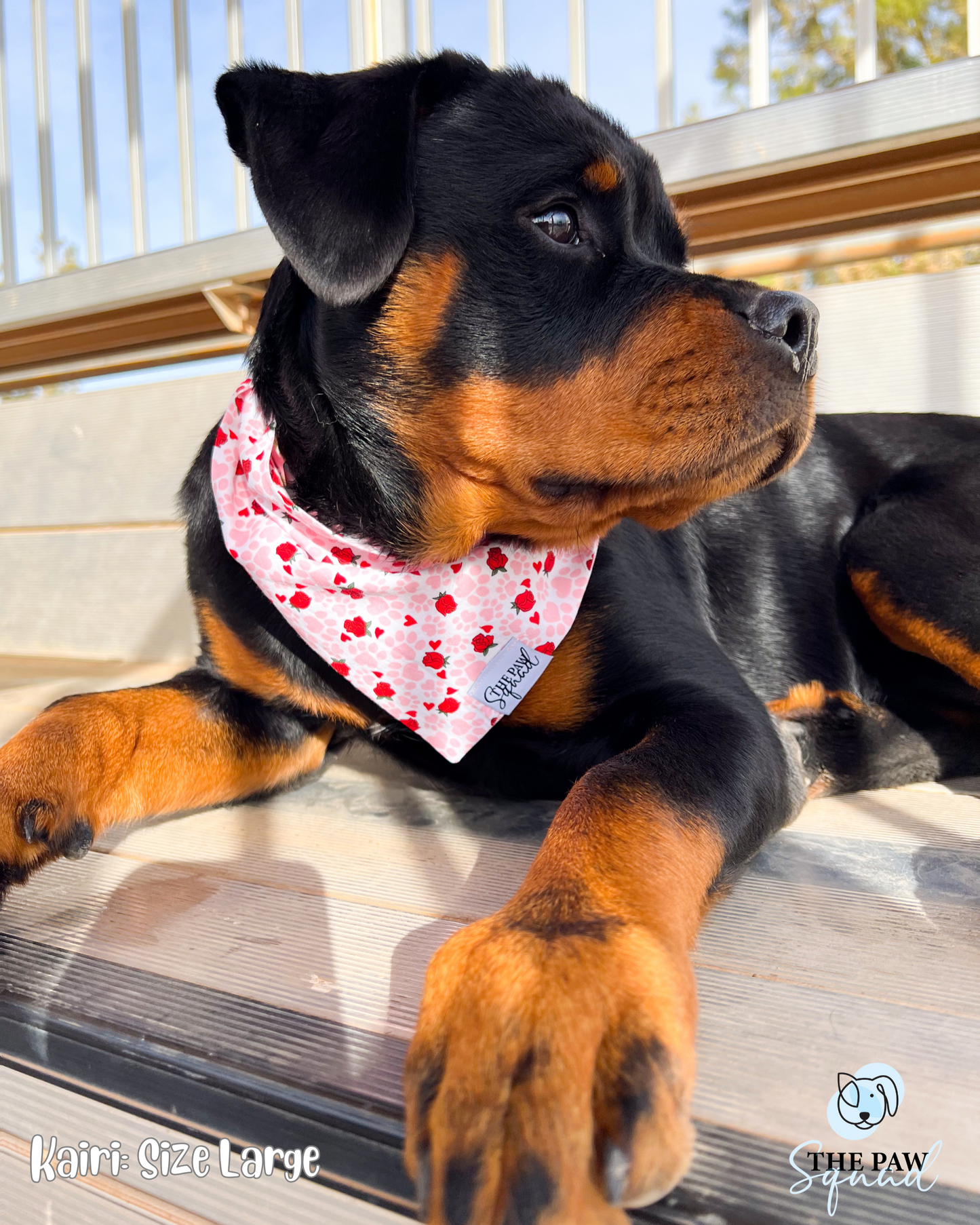 Paws & Petals Triangle Bandana