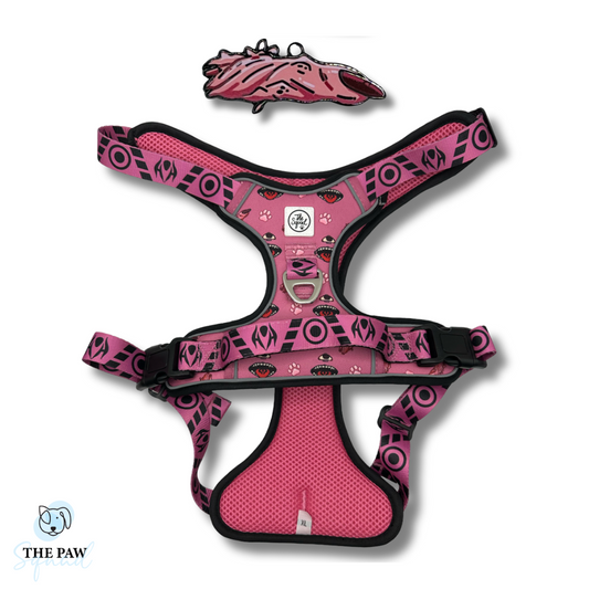 Special Grade No-Pull Harness Bundle - EXCLUSIVE