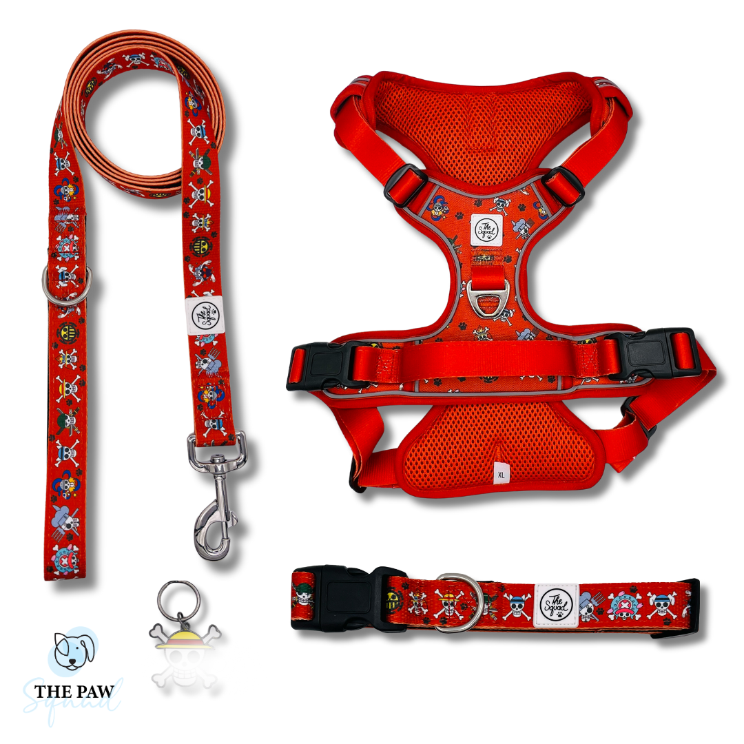 Pirate No Pull Harness Bundle *LAST THREE*