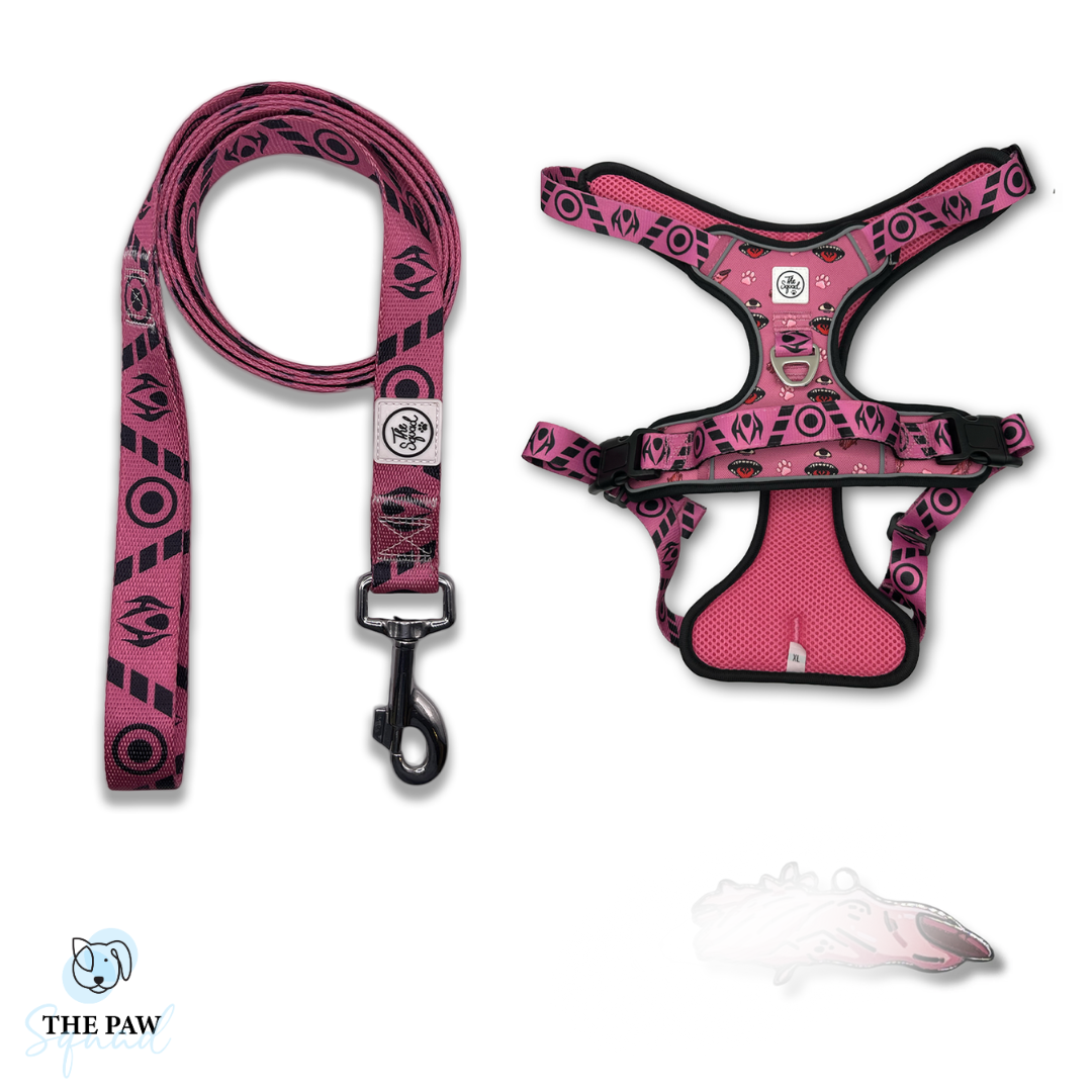 Special Grade No-Pull Harness Bundle