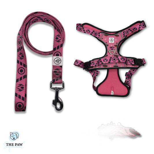 Special Grade No-Pull Harness Bundle