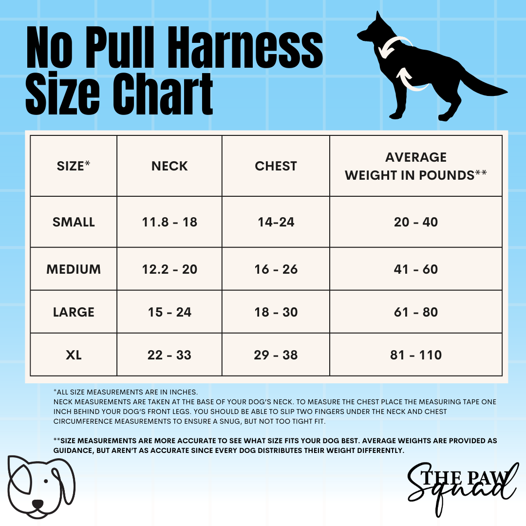 Special Grade No-Pull Harness Bundle - EXCLUSIVE