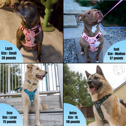Sleepy Bunny No Pull Harness Bundle