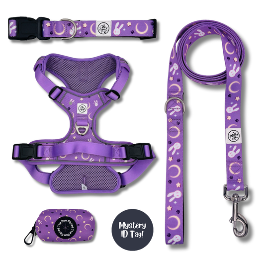 Sleepy Bunny No Pull Harness Bundle
