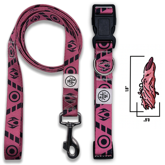 Copy of Special Grade Pet Collar, Leash, and Engraved Pet ID Tag bundle (CLOSED)