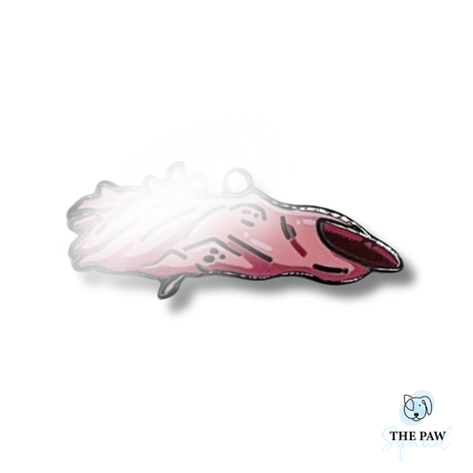 Special Grade Pet Tag