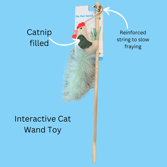 Farmhouse Chicken Cat Toy - The Paw Squad