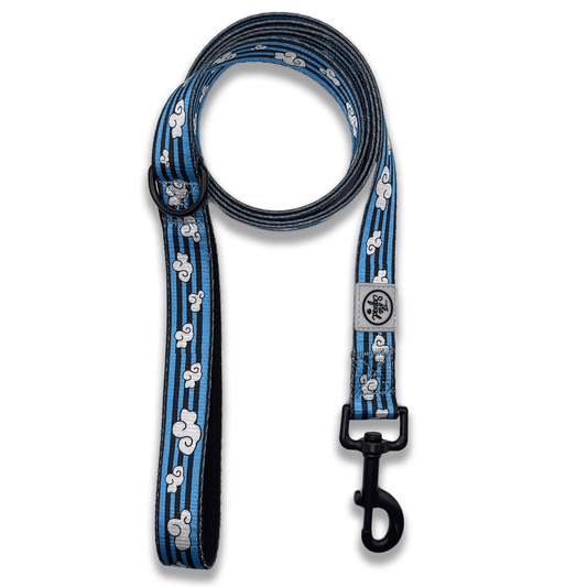 Day Dreaming Cloud Pet Leash - The Paw Squad