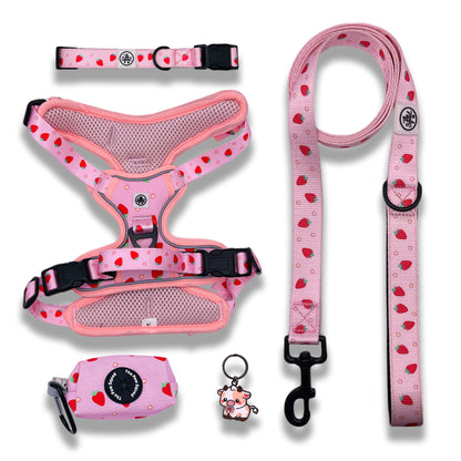 Strawberry Sweet No Pull Harness Bundle