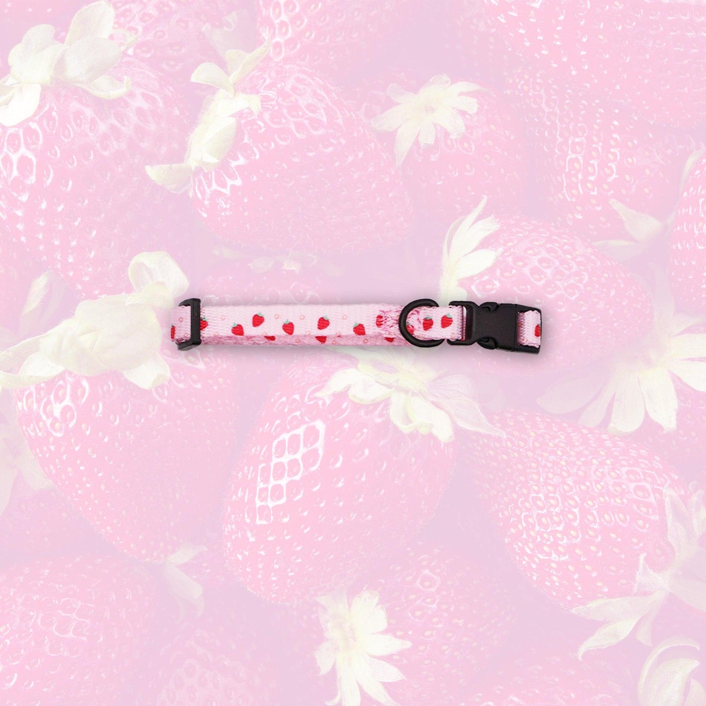 Strawberry Sweet XS Dog/Cat Collars - The Paw Squad
