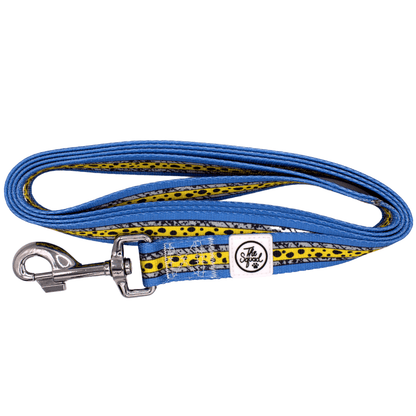 Overtime Pet Leash - The Paw Squad
