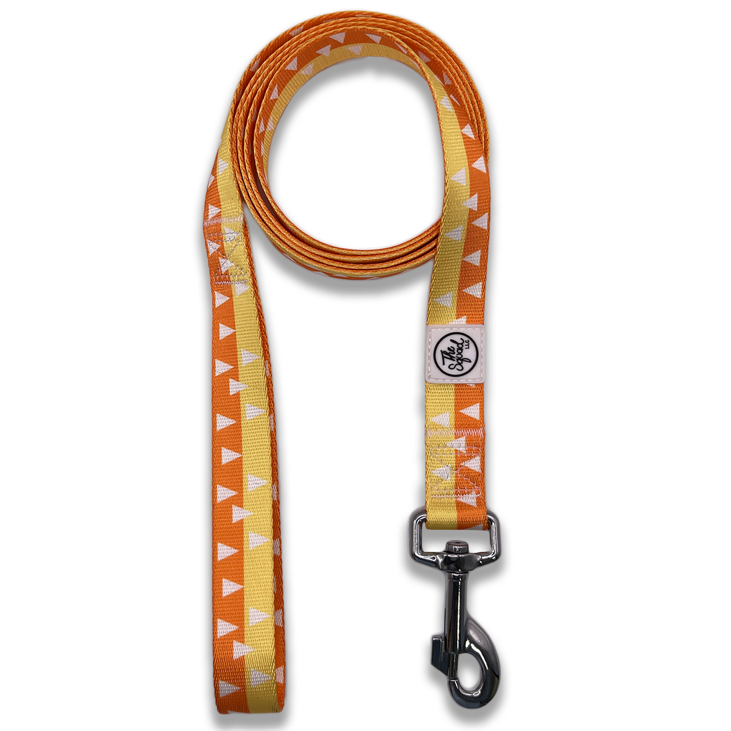 Thundering Pet Leash