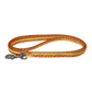 Thundering Pet Leash - The Paw Squad