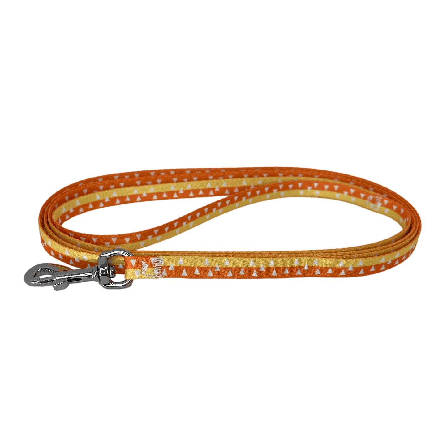 Thundering Pet Leash - The Paw Squad